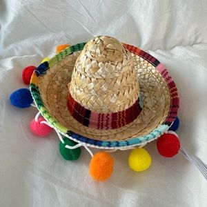 Sombrero for dogs